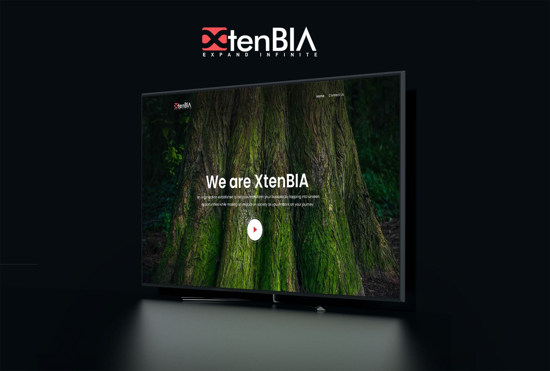 Xtenbia - Web Developed by The Inventiv Hub